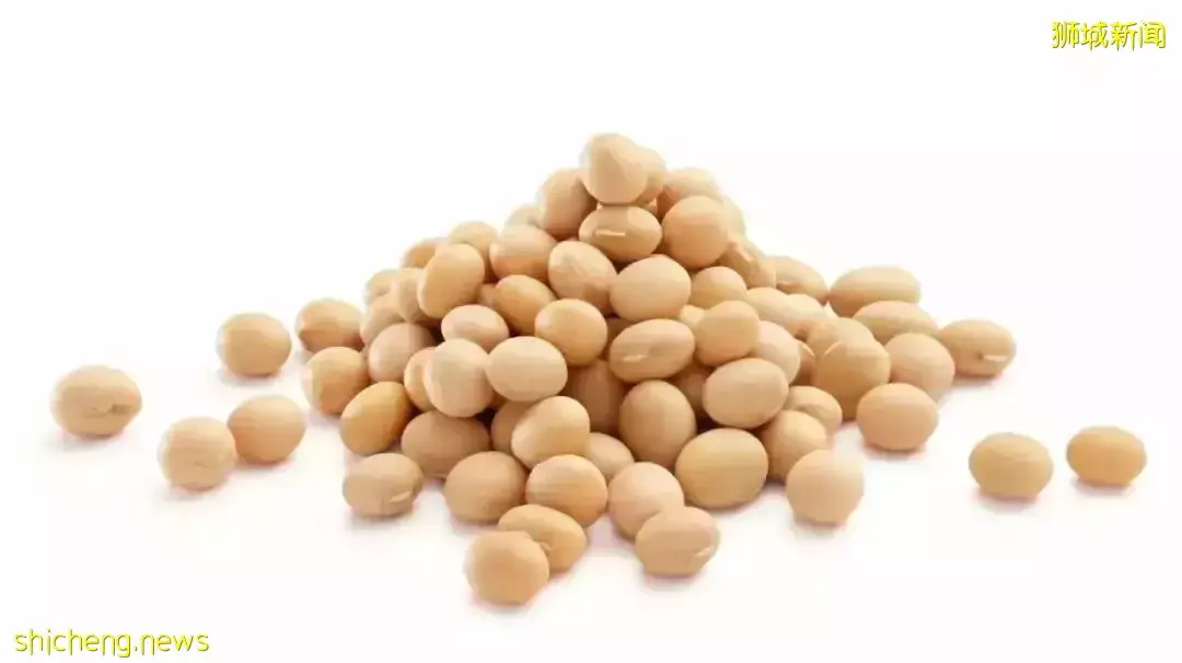 最新研究：发酵豆渣有望解决肥胖问题，健康又减肥