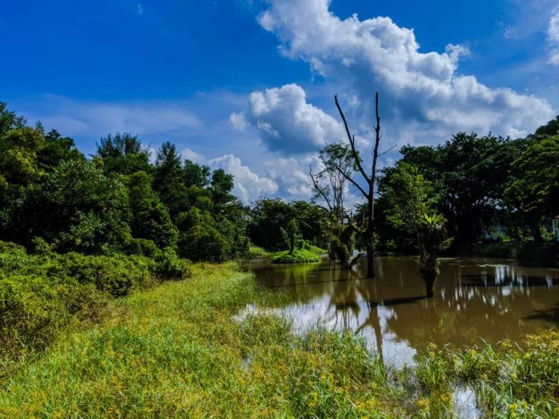 2020新加坡15大室内外热门景点!几乎零花费就能玩到嗨