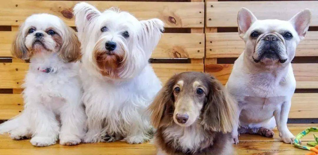 新加坡31個孩子超愛的假期活動+遊玩攻略，1分不花也能玩