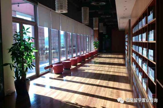 新加坡特色的小衆圖書館？和新加坡常用APP