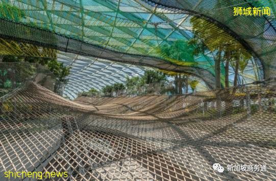 最新总结 新加坡周末溜娃绝好去处