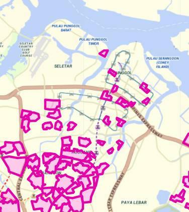 新加坡登革热又双叒叕变严重了!这五个区感染最严重