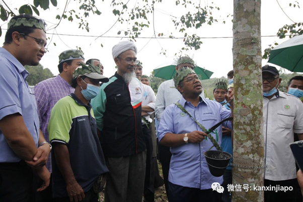 马国昨增489起确诊 | 部长事件发酵，引发“双重标准”质疑