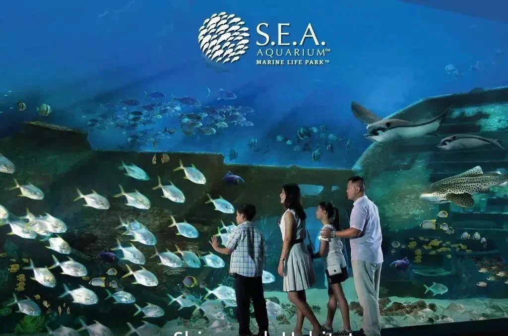 新加坡留學 留學新加坡，這9大網紅之地，非去不可