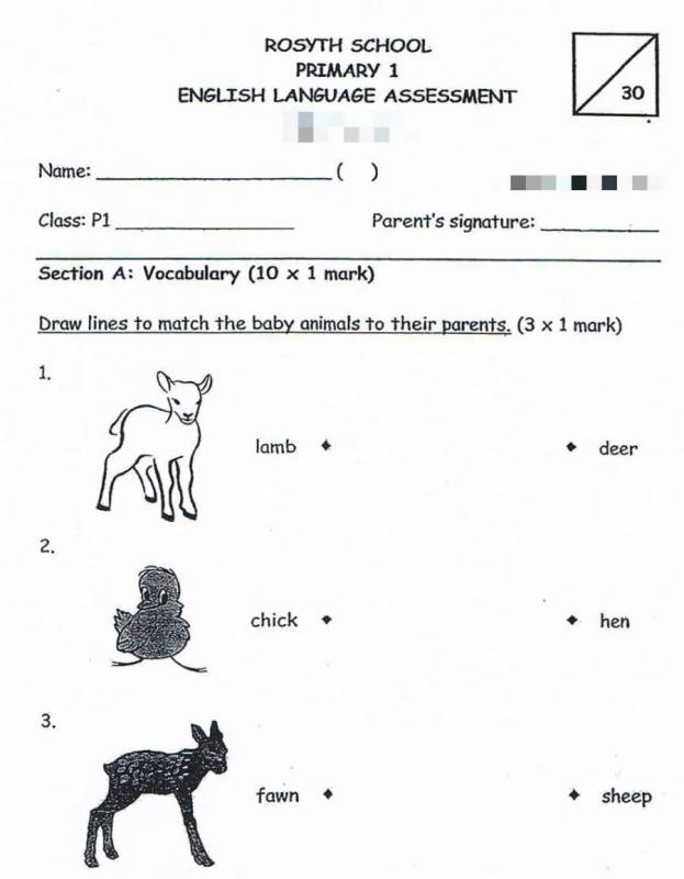 在新加坡，你的孩子准备好幼升小了吗