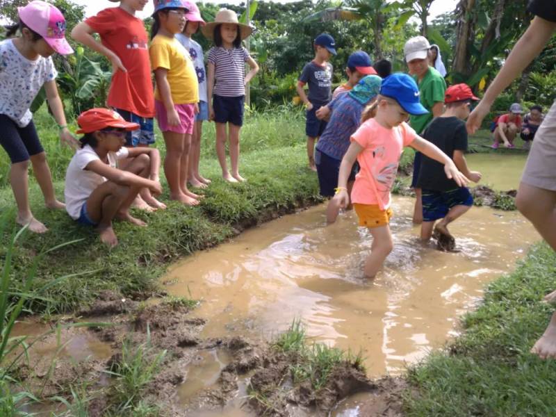 種水稻，摘蘑菇，新鮮蘆荟飲品！藏在新加坡的7大蔬菜農場我找到啦
