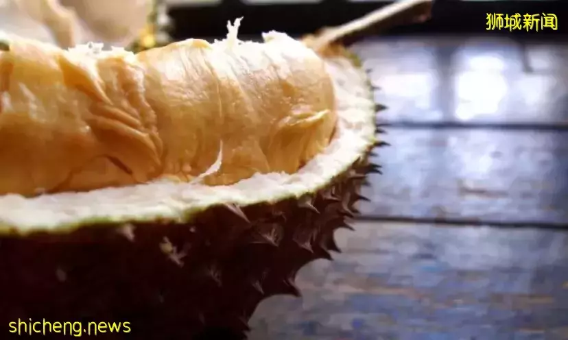 新加坡吃貨有口福啦！馬來西亞榴梿大豐收預計價格將全線下降