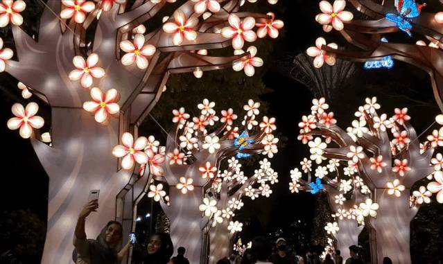 上周末，在新加坡的人都去了這裏慶中秋！照片刷屏朋友圈