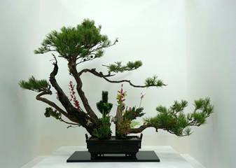 【新加坡留学】不是你不够努力  而是你选择了不同的教育路径