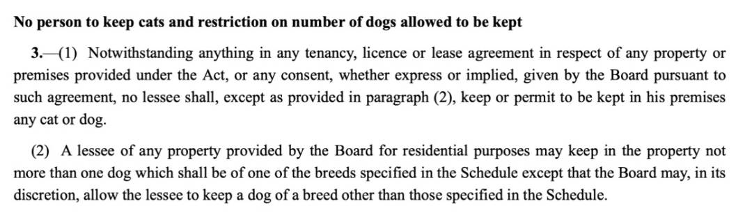 四人在新加坡餵野豬犯法,共被罰1萬新幣!這些罰款規定太多人踩雷