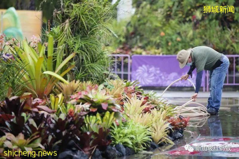新加坡人会否心甘情愿掏钱提高低薪者的收入，取决于两大因素