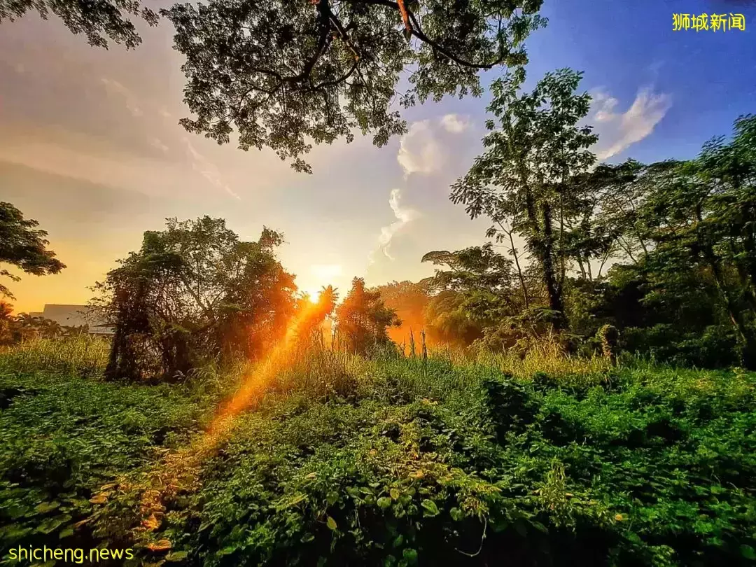 朋友圈刷屏！新加坡天空奇景再現，一波美圖襲來！太美了