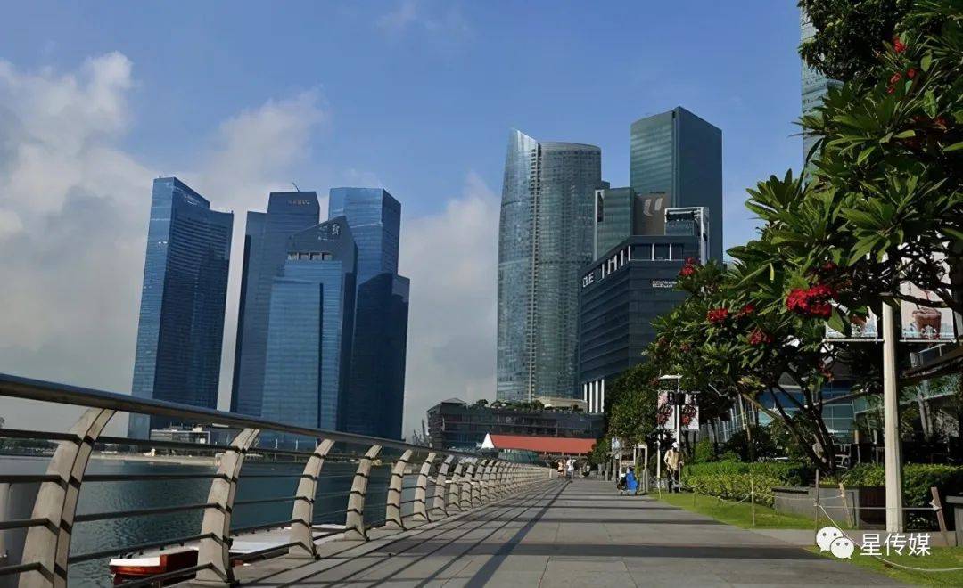 新加坡人家裏幾乎不做飯,沒時間沒條件,小販中心物美價廉還可靠