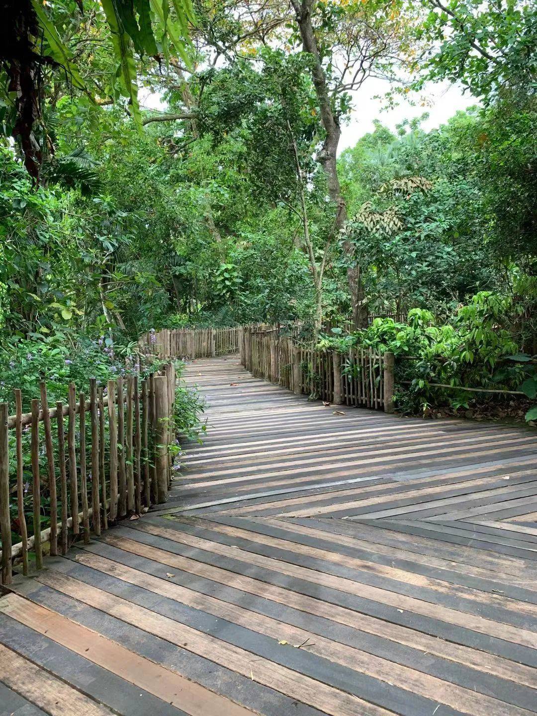 行走獅城——新加坡動物園
