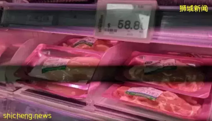 马来西亚禁止鸡只出口至新加坡!印尼业者表示爱莫能助!任商机从眼前飘过