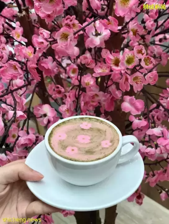 新加坡超人气樱花主题餐厅!限定舒芙蕾、樱花抹茶拿铁,超高颜值