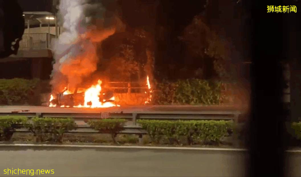 視頻曝光!新加坡多車連撞致1死6傷!羅厘側翻、小車起火濃煙滾滾