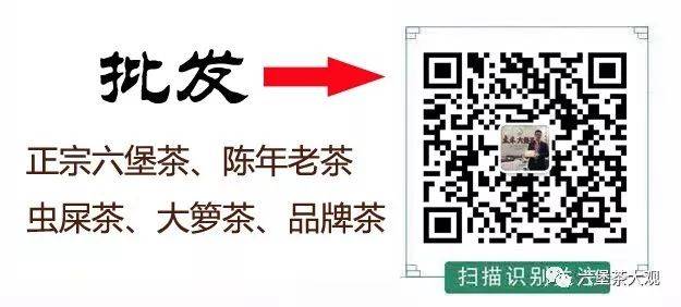 新手不會拒絕的一款六堡茶 六堡茶獅城印象,傳承一味經典