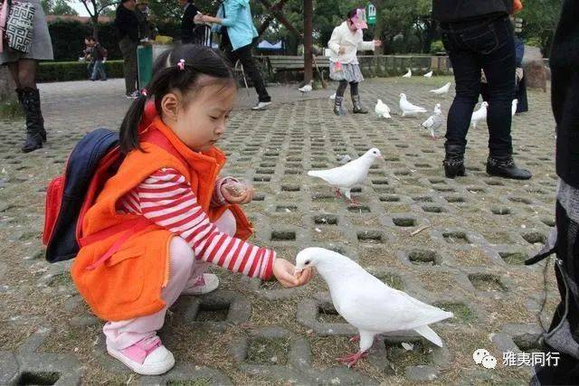 到新加坡旅遊留意28條法律，避免踩雷還能省錢，破財事小，坐牢事大