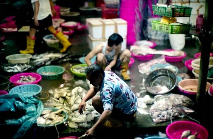 周末去哪玩？一起來探索新加坡本地人都不知道的新奇活動和景點吧