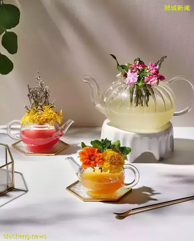 新加坡四季酒店推出花卉主题下午茶💐名人花艺师打造+可口甜咸点心，每人只需$48