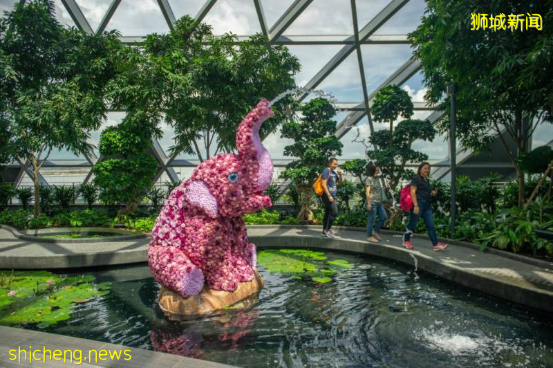 Jewel限时优惠,凭当日消费小票,可兑换双人Canopy Park免费门票!【有效期至9月30日】