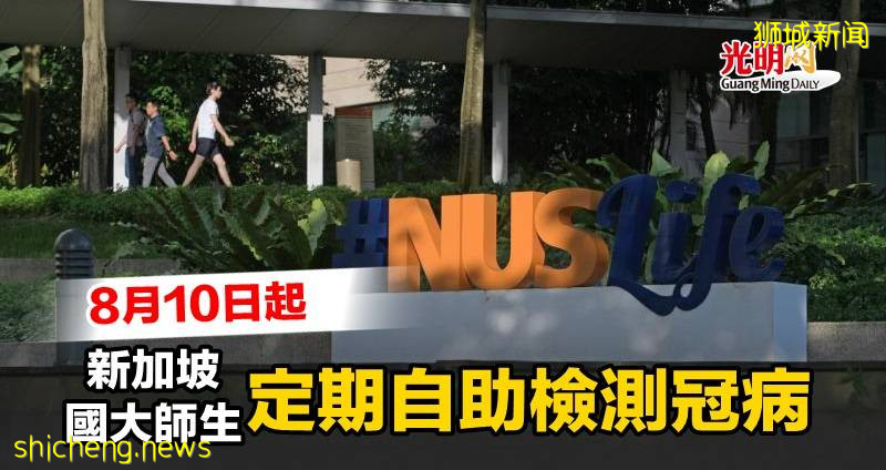 8月10日起 新加坡國大師生定期自助檢測冠病