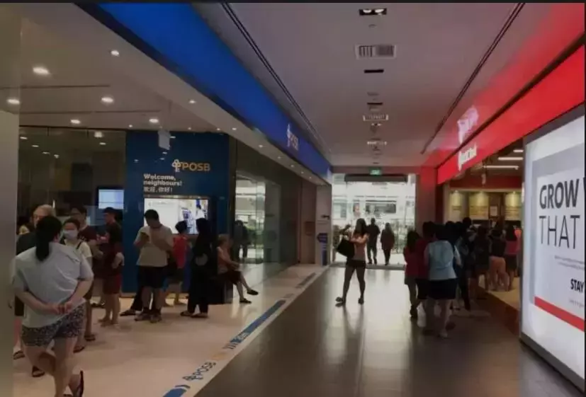 新加坡立春存钱有讲究，找准“良辰吉时”财源滚滚