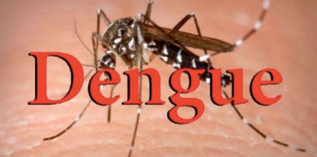 新發現！得過骨痛熱的人可能對新冠免疫