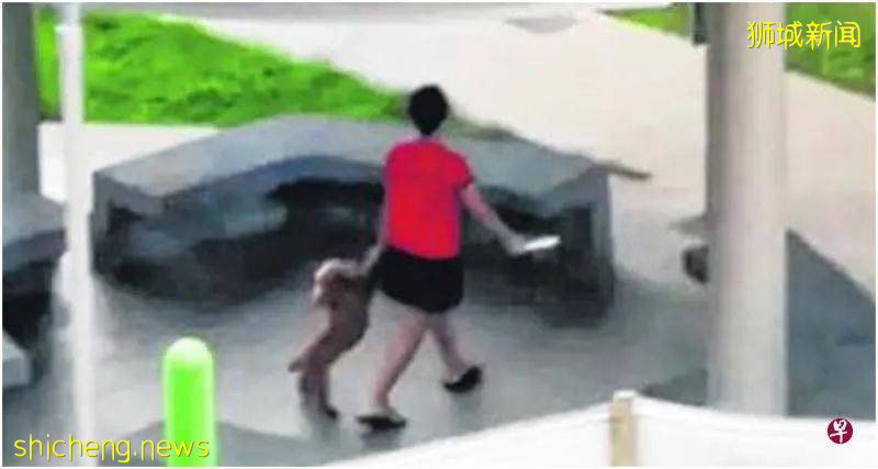 遛狗变虐狗 网民痛批女子