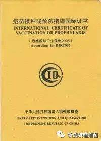 新加坡逐渐开放，盘点留新学子入境前所要做的准备和注意事项