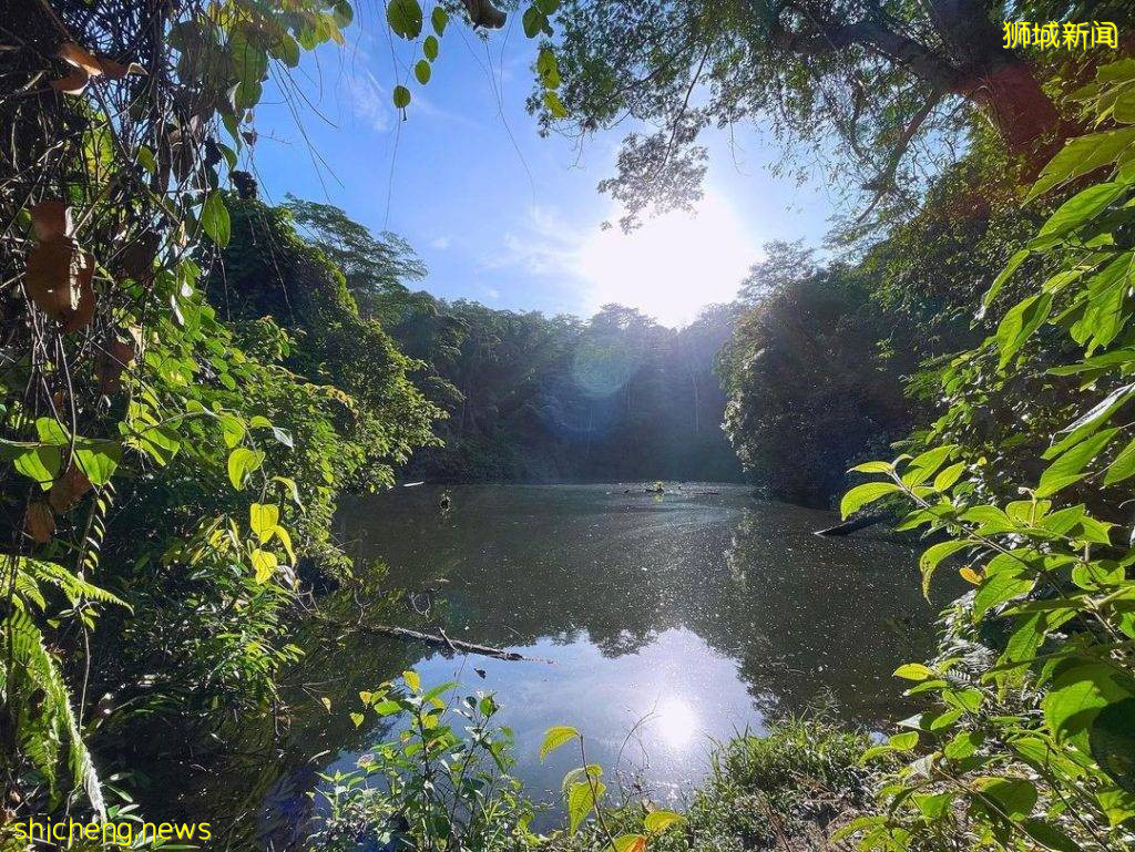 免費不用錢😍新加坡礦湖打卡✨風景如畫、美如仙境，到戶外走一圈後神清氣爽