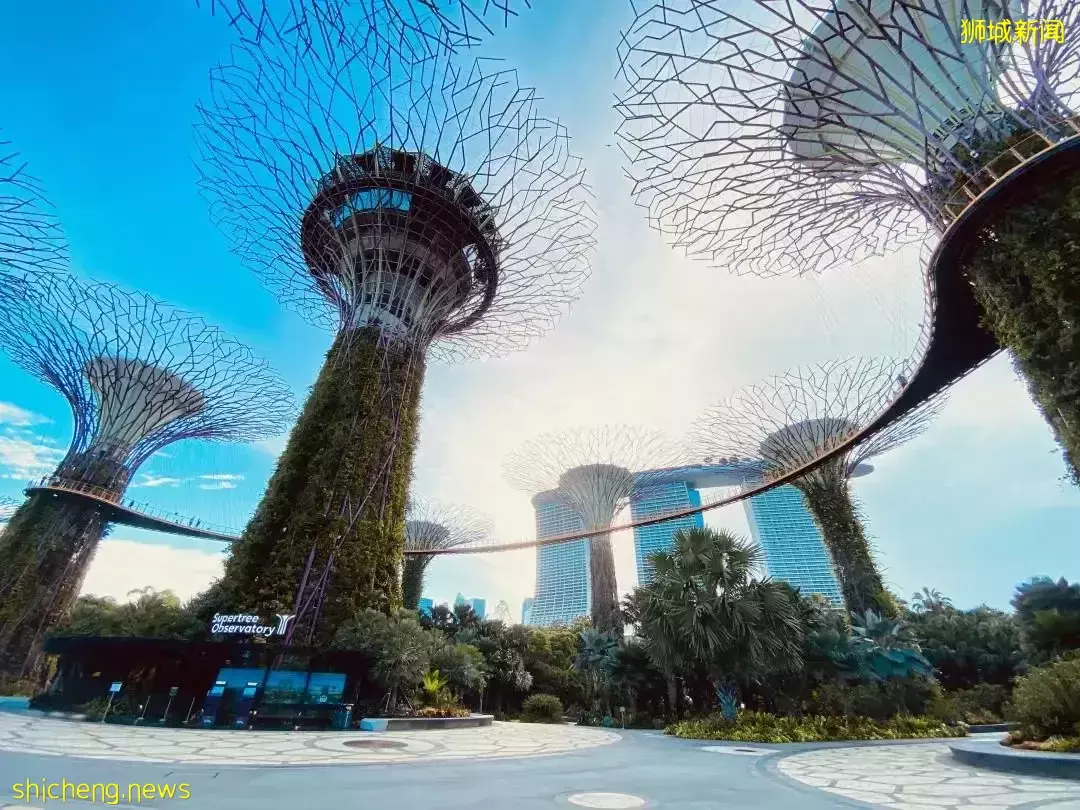 “职缺”破12万，“缺人”的新加坡将重构未来50年的“梦想空间”