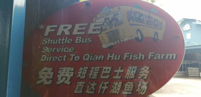 周末新玩法！新加坡仟湖魚場🐟 賞魚+魚療+搜魚體驗活動！免費入場、免費專程巴士載送
