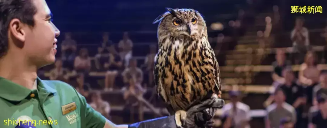 假期攻略 假期想好去哪儿了吗？新加坡四大动物园全攻略安排上