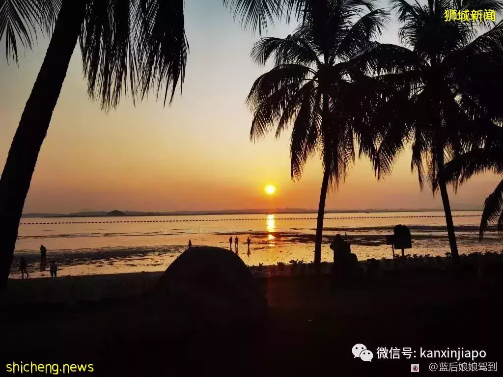去樟宜海滩赶海吧，那里有最美的日出和从未见过的海洋生物