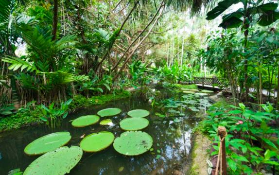 在CBD也可以擁抱綠色自然——細數新加坡那些鬧中取靜的Secret Garden