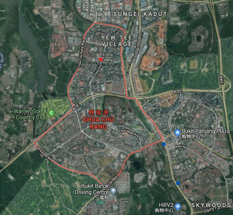 新加坡骨痛热症死亡人数创12年新高!