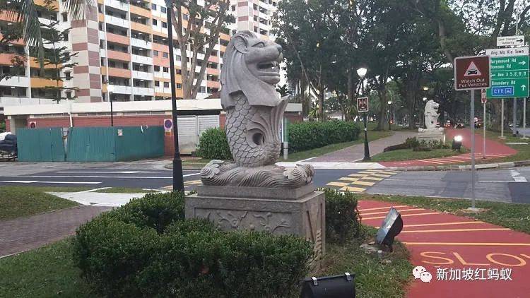 日本和歐洲也有魚尾獅? 它比你我知道的還要神出鬼沒