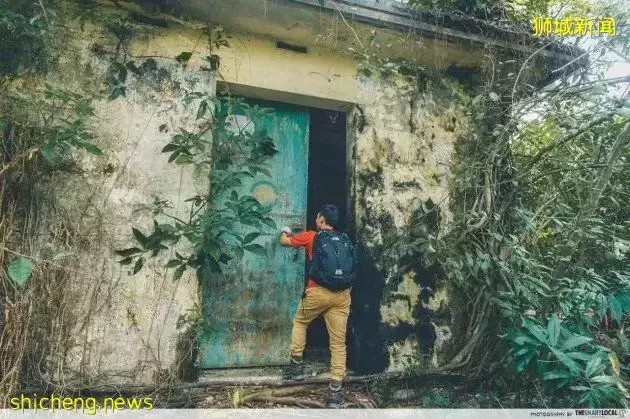 帶娃逛遍新加坡的森林和水庫，9條適合兒童徒步的路線