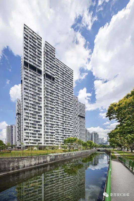 是否作爲住宅用地開發？　新加坡次森林最終命運交由下一代國人決定