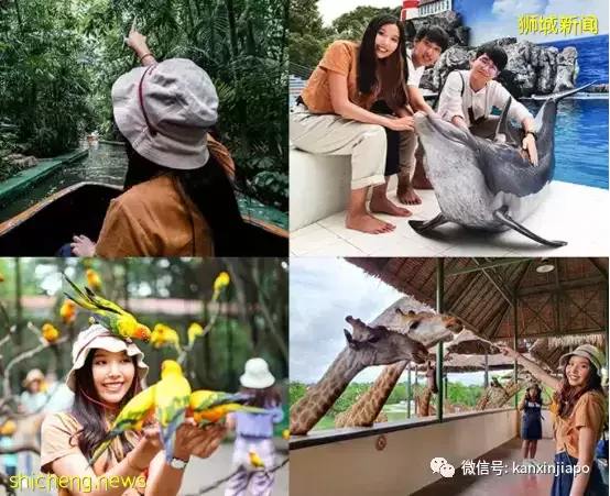 從新加坡出發，如何玩轉東南亞