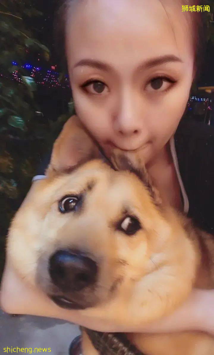 “我最亲爱的四喜走了,带走了我在新加坡16年的青春和回忆...”