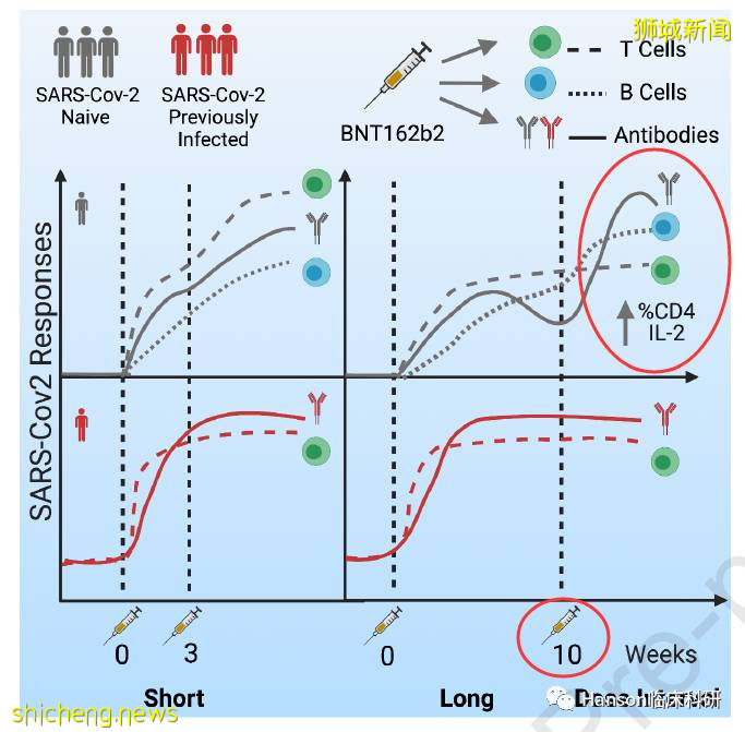 由“清零”、到“與病毒共存”的新加坡，現在怎麽樣了