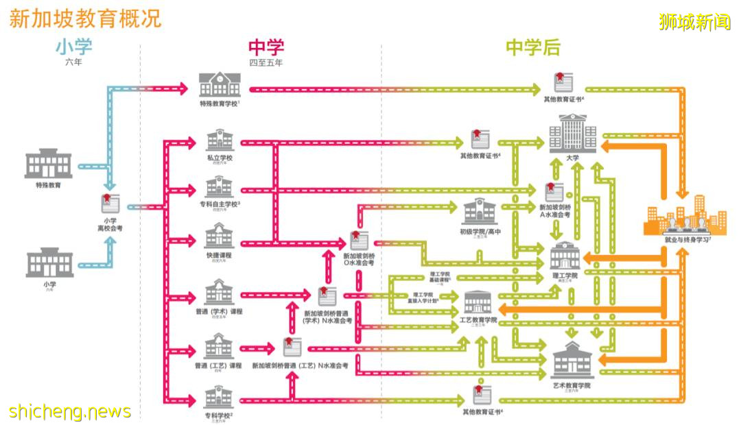 中國學生可以入讀新加坡公立學校？是的，你沒有聽錯