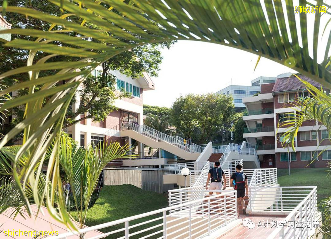 新加坡各类学校学费汇总(AY2020/21)