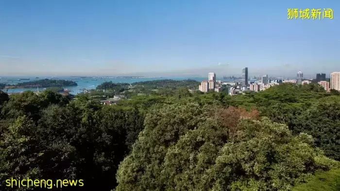 新加坡南部要建新公园,占地200公顷!这些地方太美了打卡必去