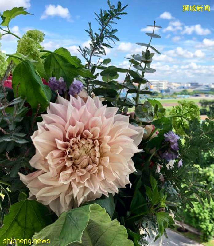 除了超市，原來新加坡還能在這些地方買到鮮花