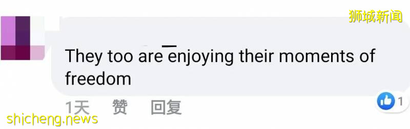 解封首个周末奇葩事件！温泉轮流泡脚10分钟、野猪野鸡也疯狂