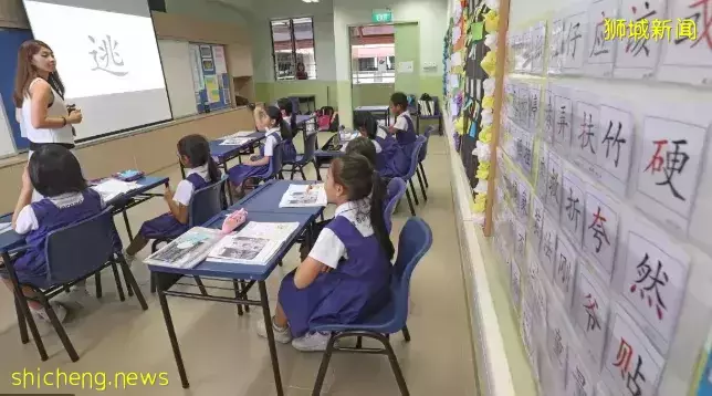 “我毕业于中国985名校,为什么在新加坡读个大专?”